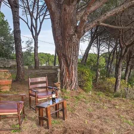 Amazing In San Pietro In Campo With Wifi Σπίτι διακοπών