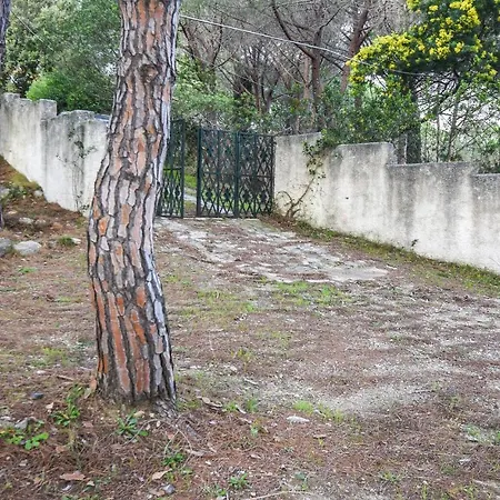 Beautiful In San Pietro In Campo