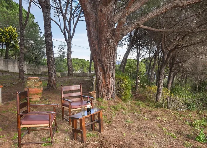 Beautiful In San Pietro In Campo Tatil Evi